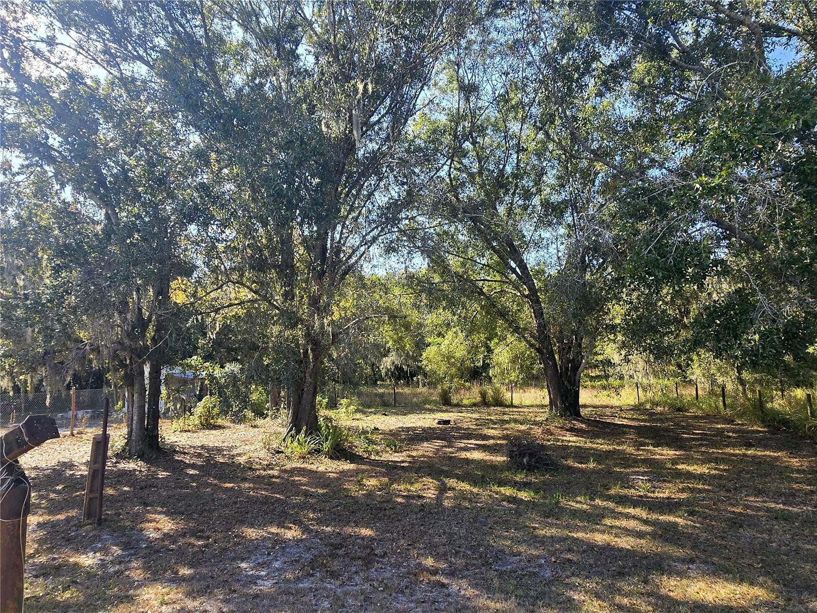 Listing photo id 3 for 4827 Myrick Avenue