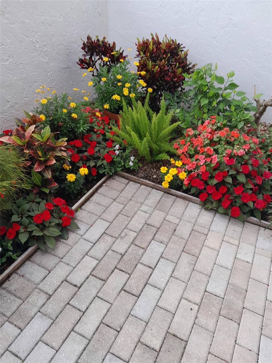 Image 44 of 64 For 3500 El Conquistador Parkway 357