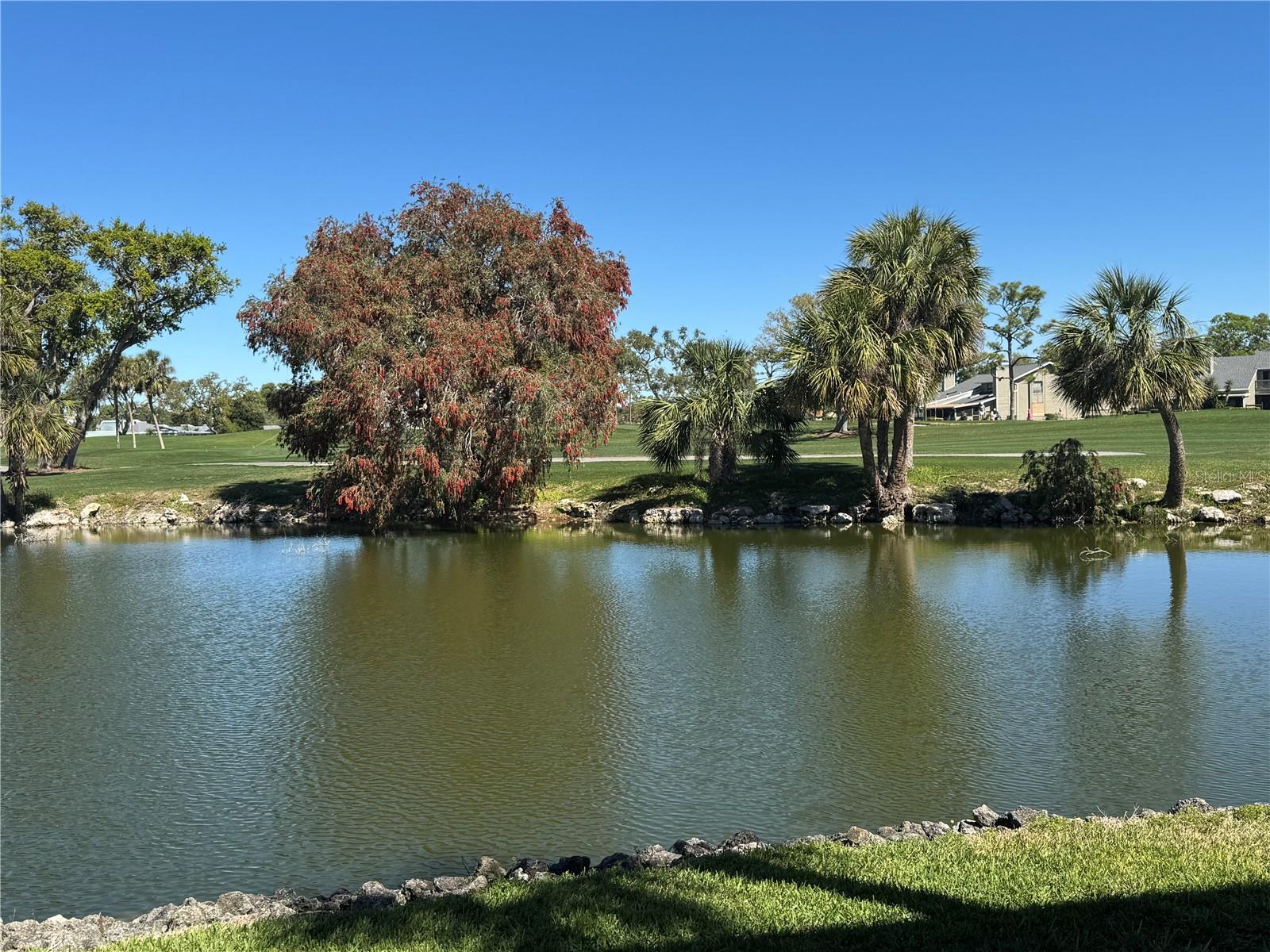 Image 52 of 64 For 3500 El Conquistador Parkway 357