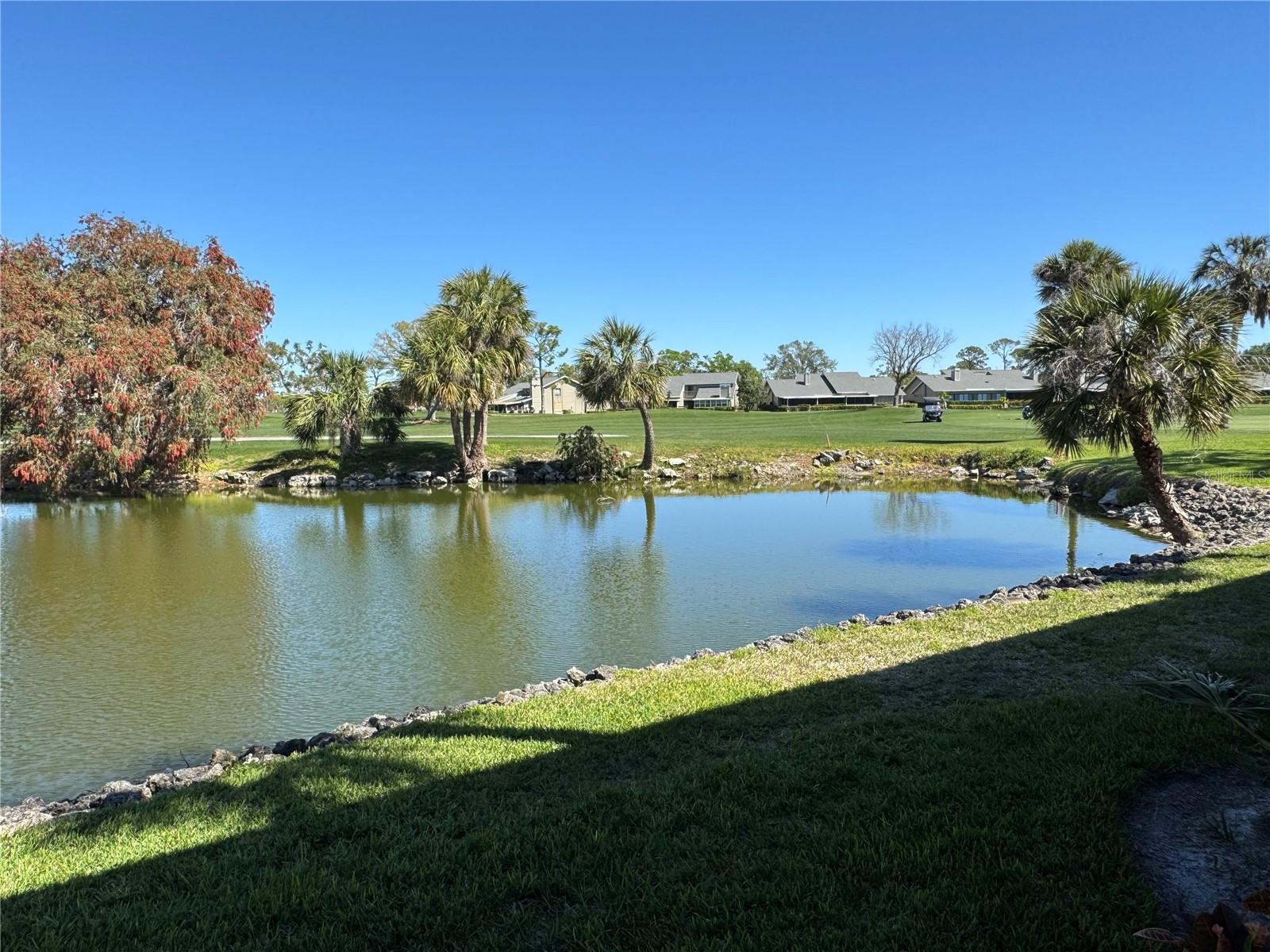 Image 54 of 64 For 3500 El Conquistador Parkway 357