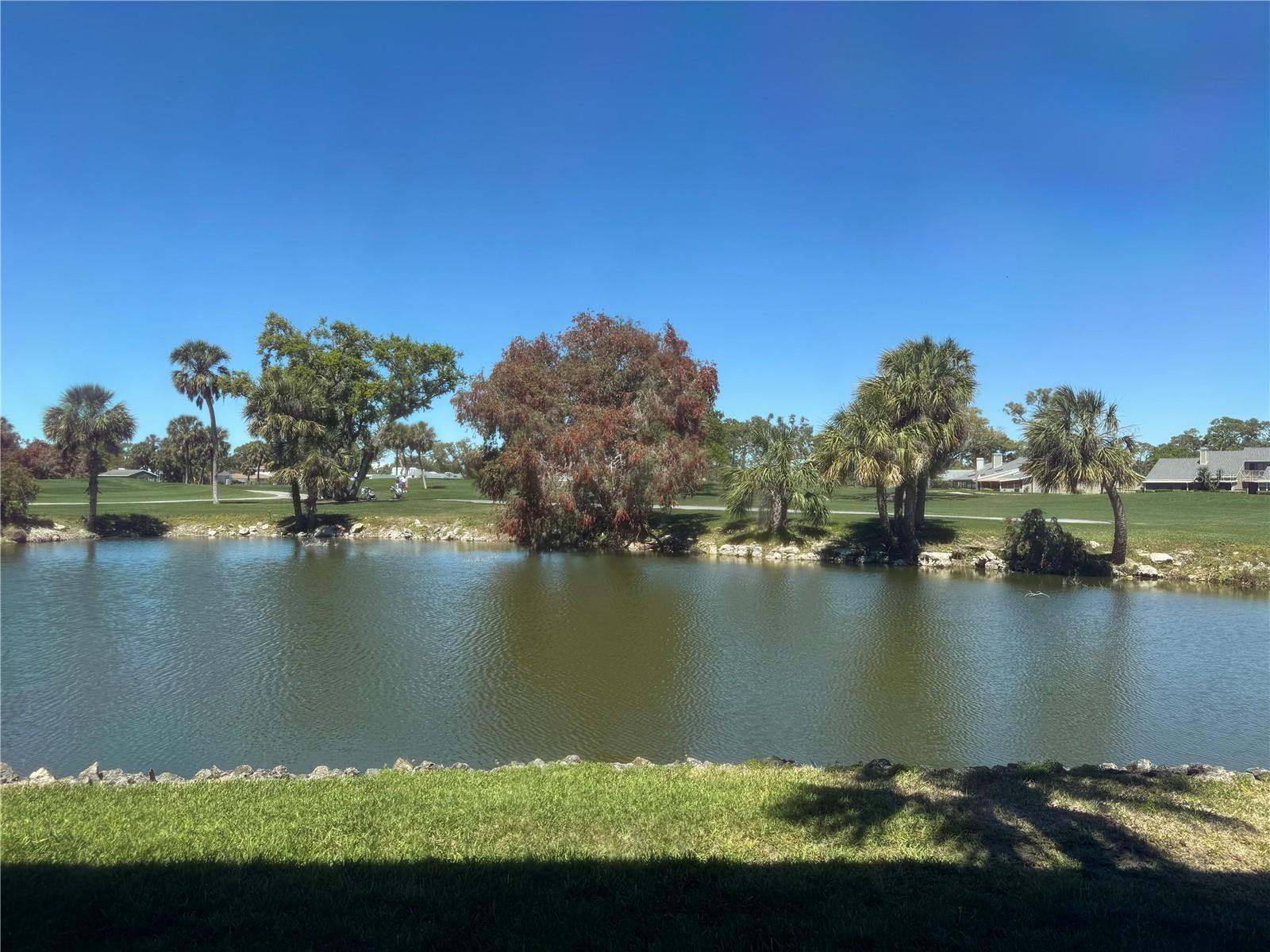 Image 55 of 64 For 3500 El Conquistador Parkway 357