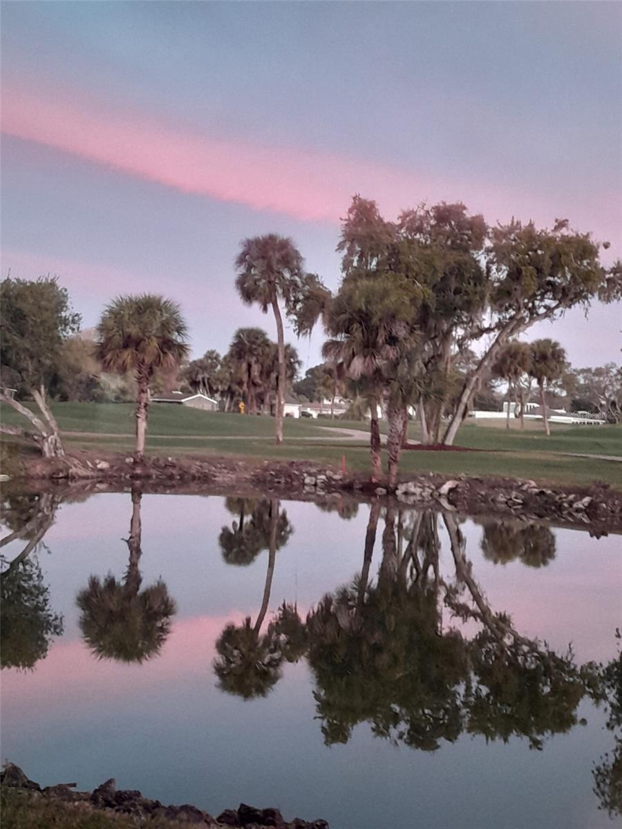 Image 56 of 64 For 3500 El Conquistador Parkway 357