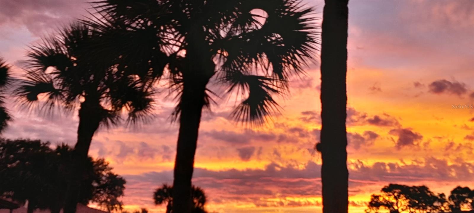 Image 57 of 64 For 3500 El Conquistador Parkway 357