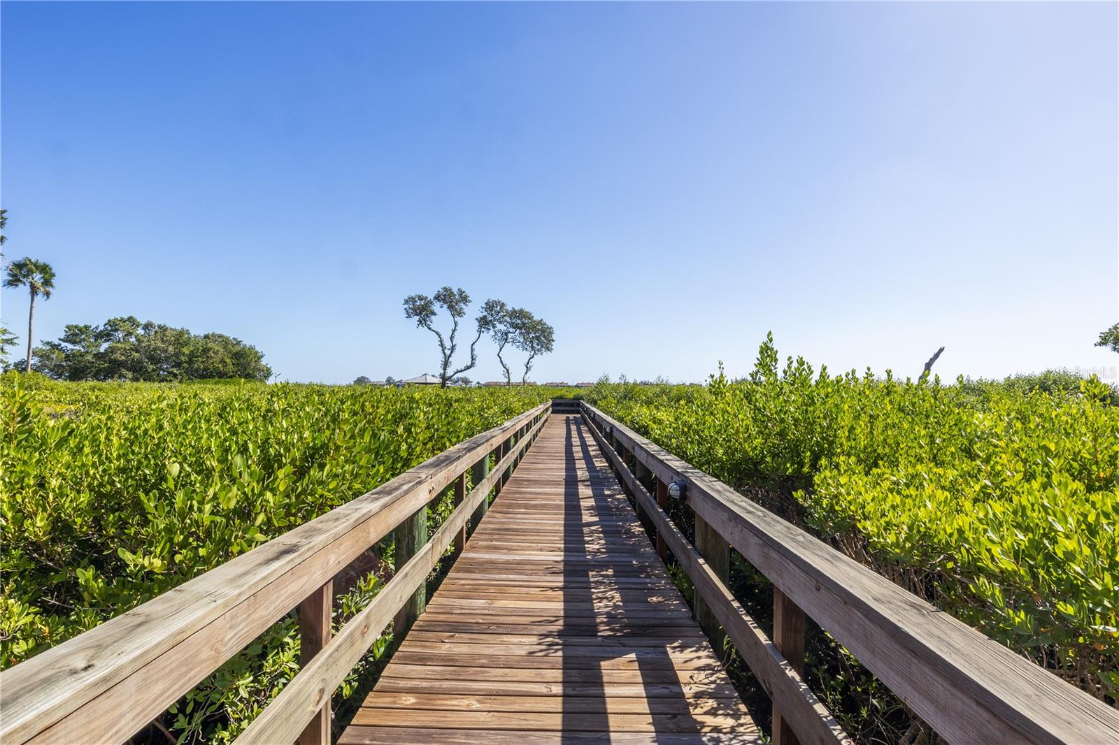 Image 48 of 73 For 301 17th Street N