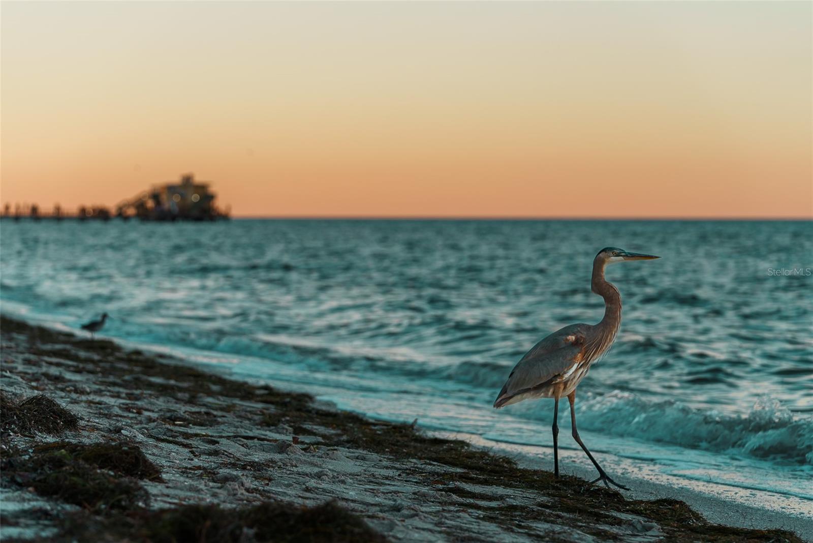 Image 72 of 73 For 301 17th Street N