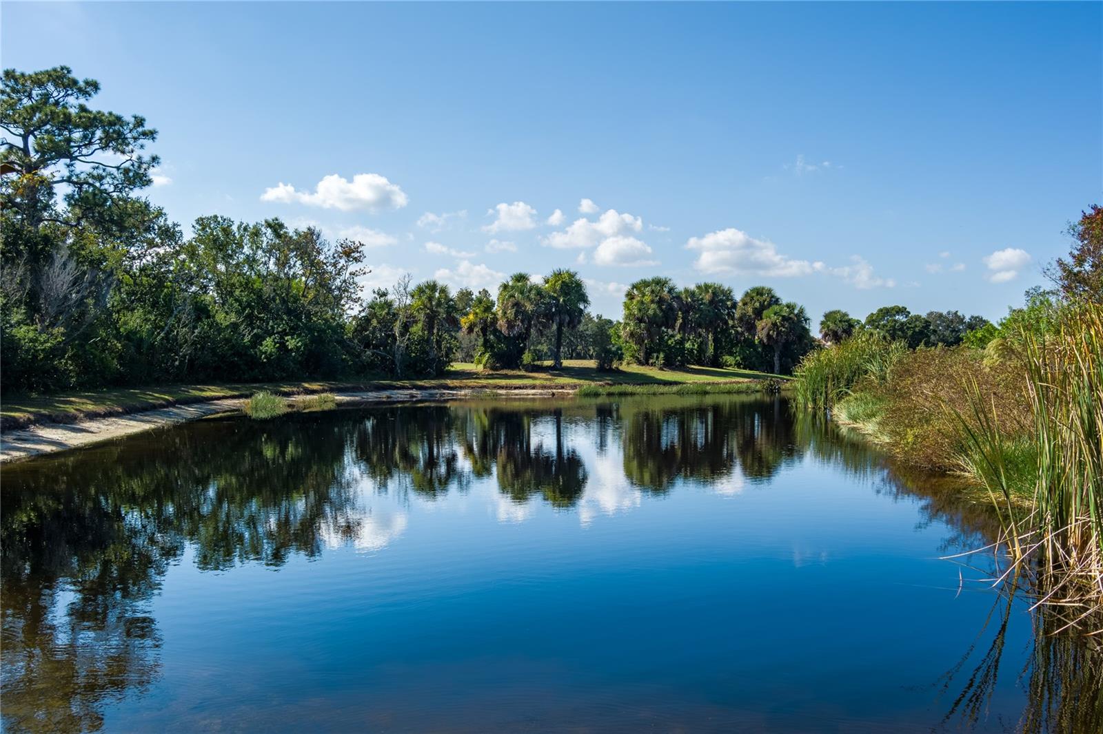 Image 55 of 65 For 6552 Tailfeather Way