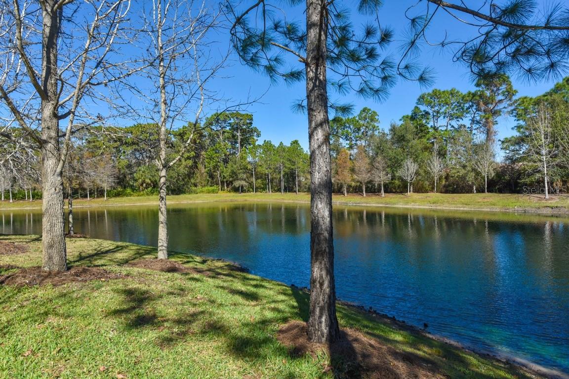 Image 4 of 22 For 8114 Villa Grande Court