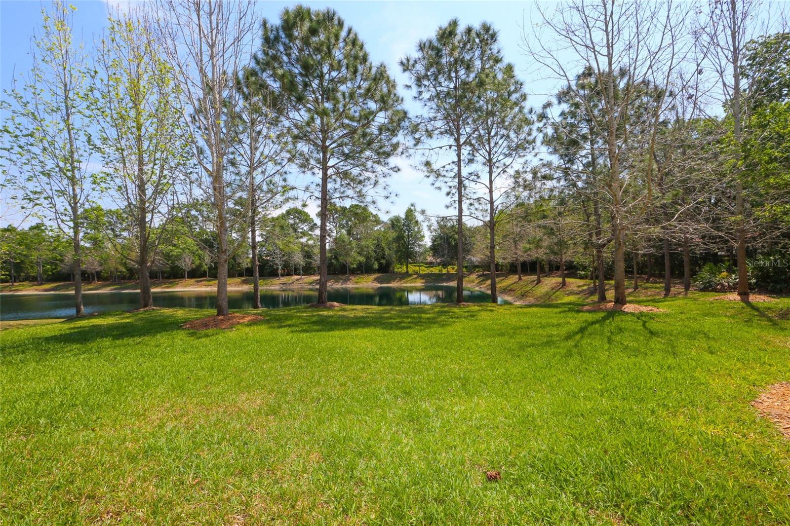 Image 6 of 22 For 8114 Villa Grande Court