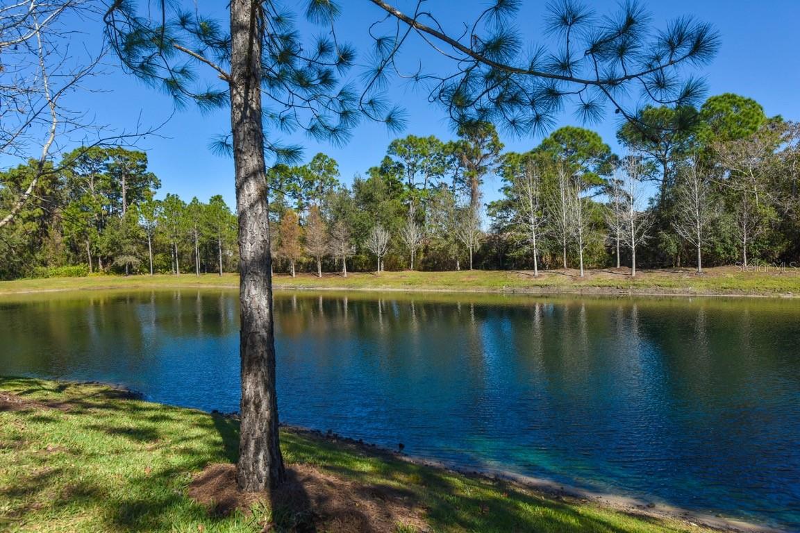 Image 8 of 22 For 8114 Villa Grande Court