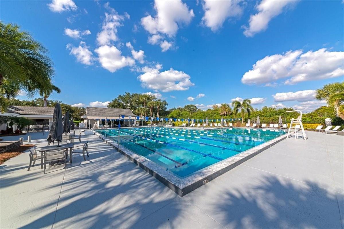 Image 68 of 85 For 3264 Alex Findlay Place 1