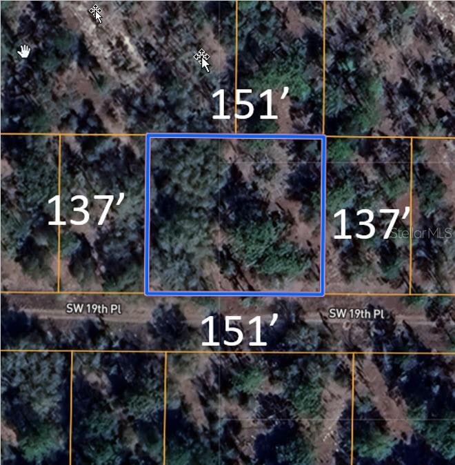 Image 2 of 3 For 0 19th Place