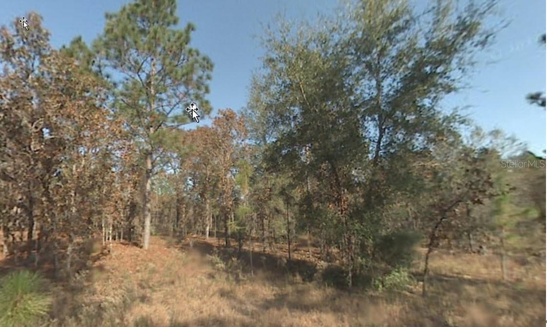 Image 3 of 3 For 0 19th Place