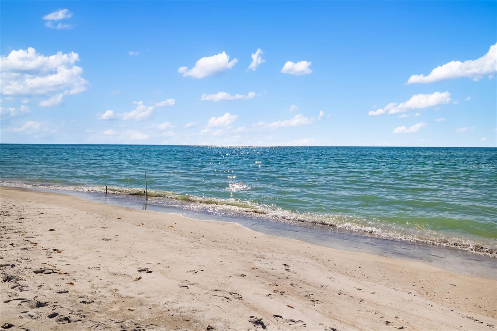 Image 5 of 60 For 3155 Gulf Of Mexico Drive 257