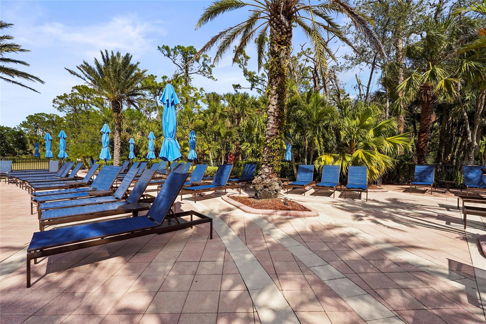 Image 91 of 98 For 254 Pesaro Drive