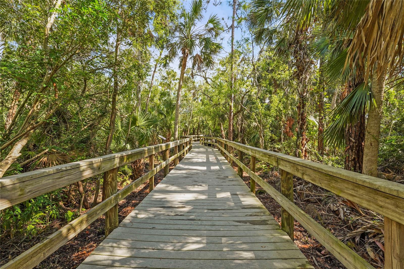 Image 98 of 98 For 254 Pesaro Drive