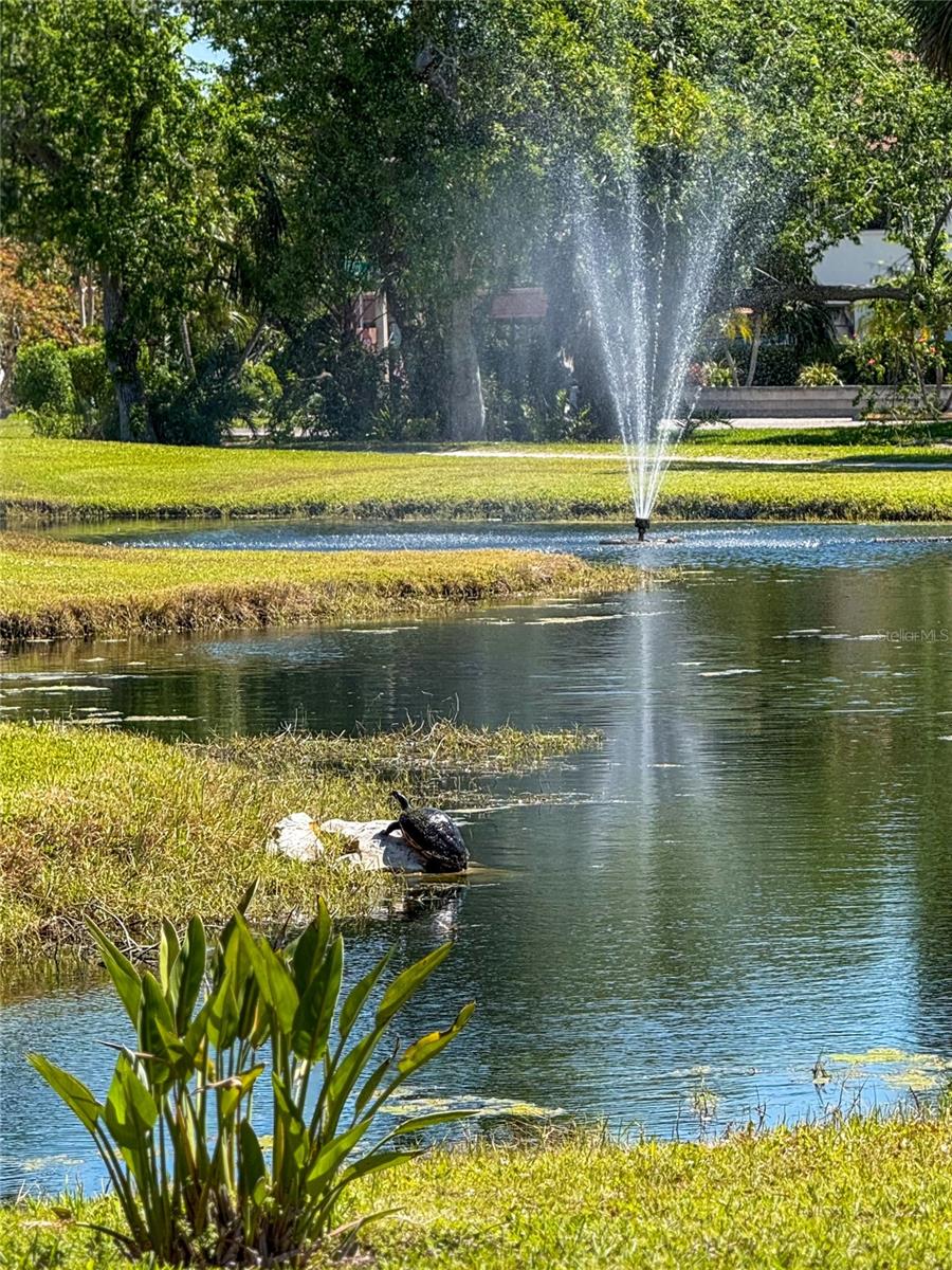 Image 40 of 44 For 4640 Red Maple Road 1208