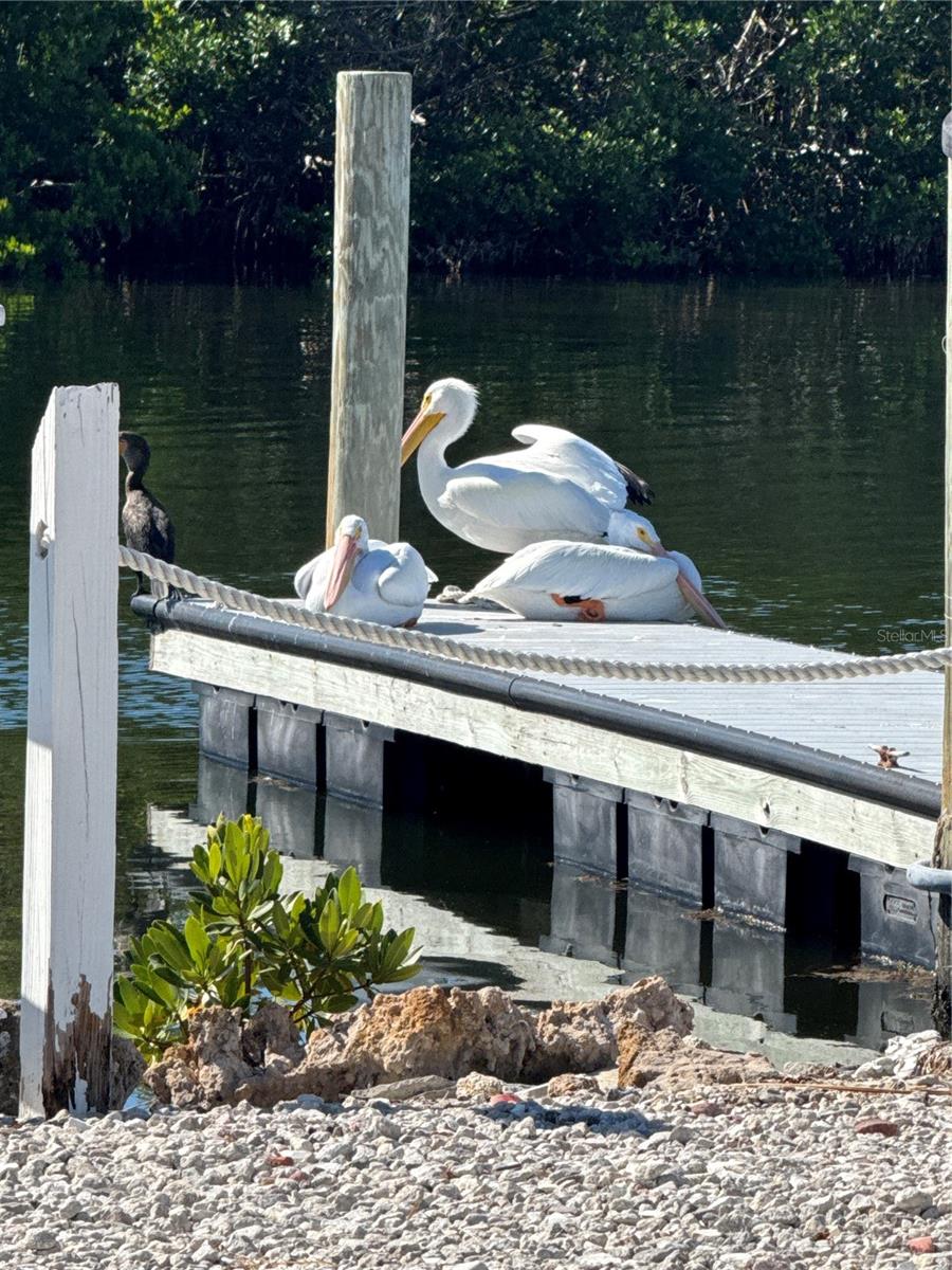 Image 43 of 43 For 10315 Cortez Road W 30-2