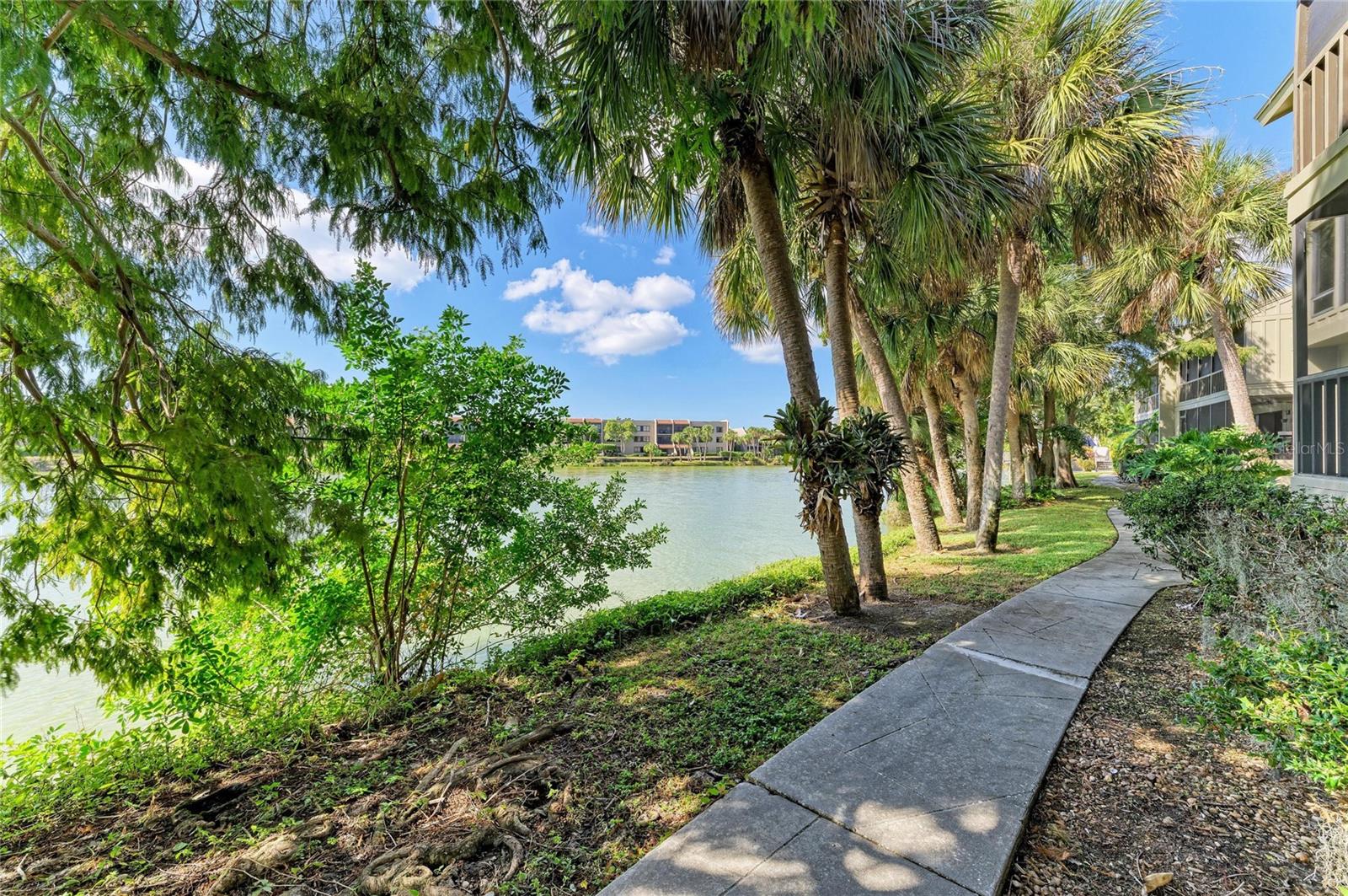 Image 38 of 66 For 5341 Lake Arrowhead Trail 11