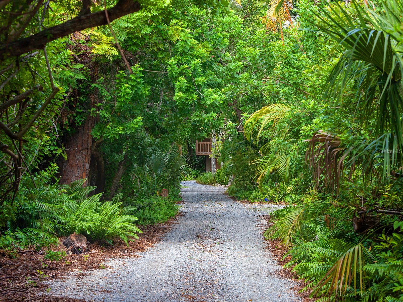 Image 3 of 55 For 2613 Temple Street