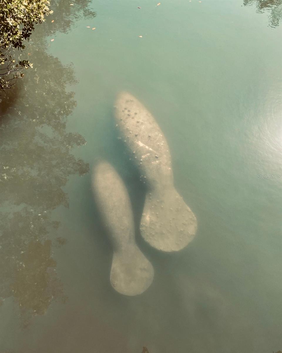 Image 42 of 55 For 8767 Midnight Pass Road 403f