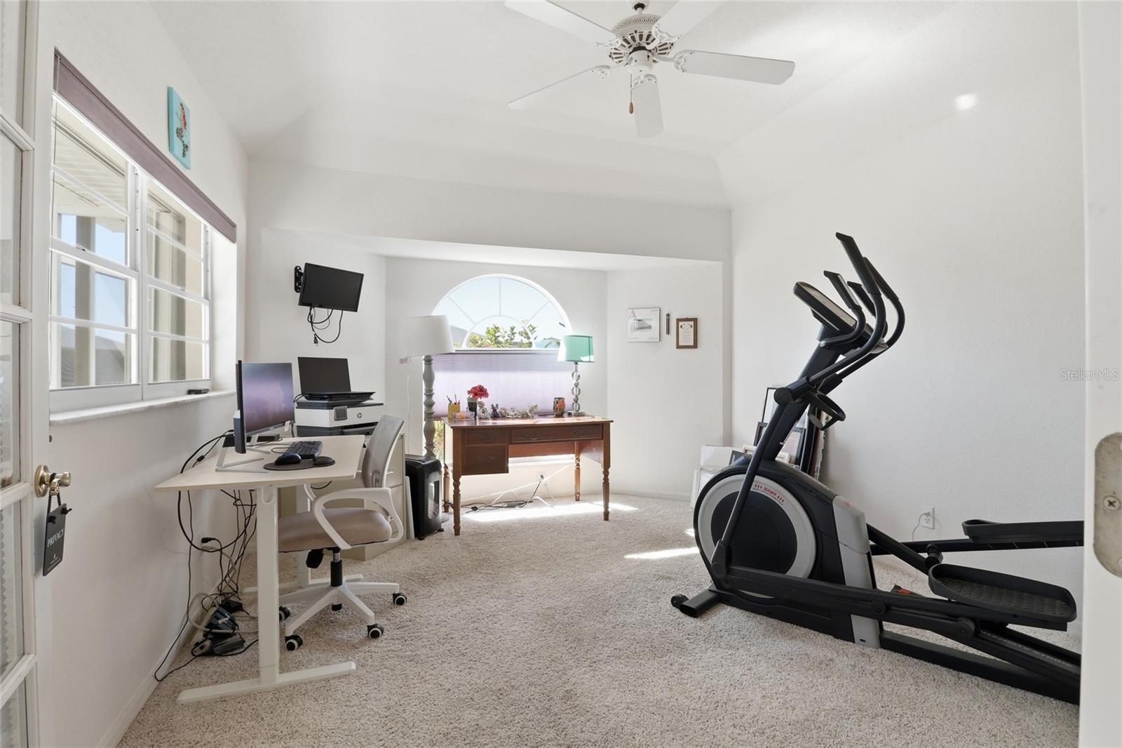 Image 19 of 28 For 7417 Sweet Alyssum