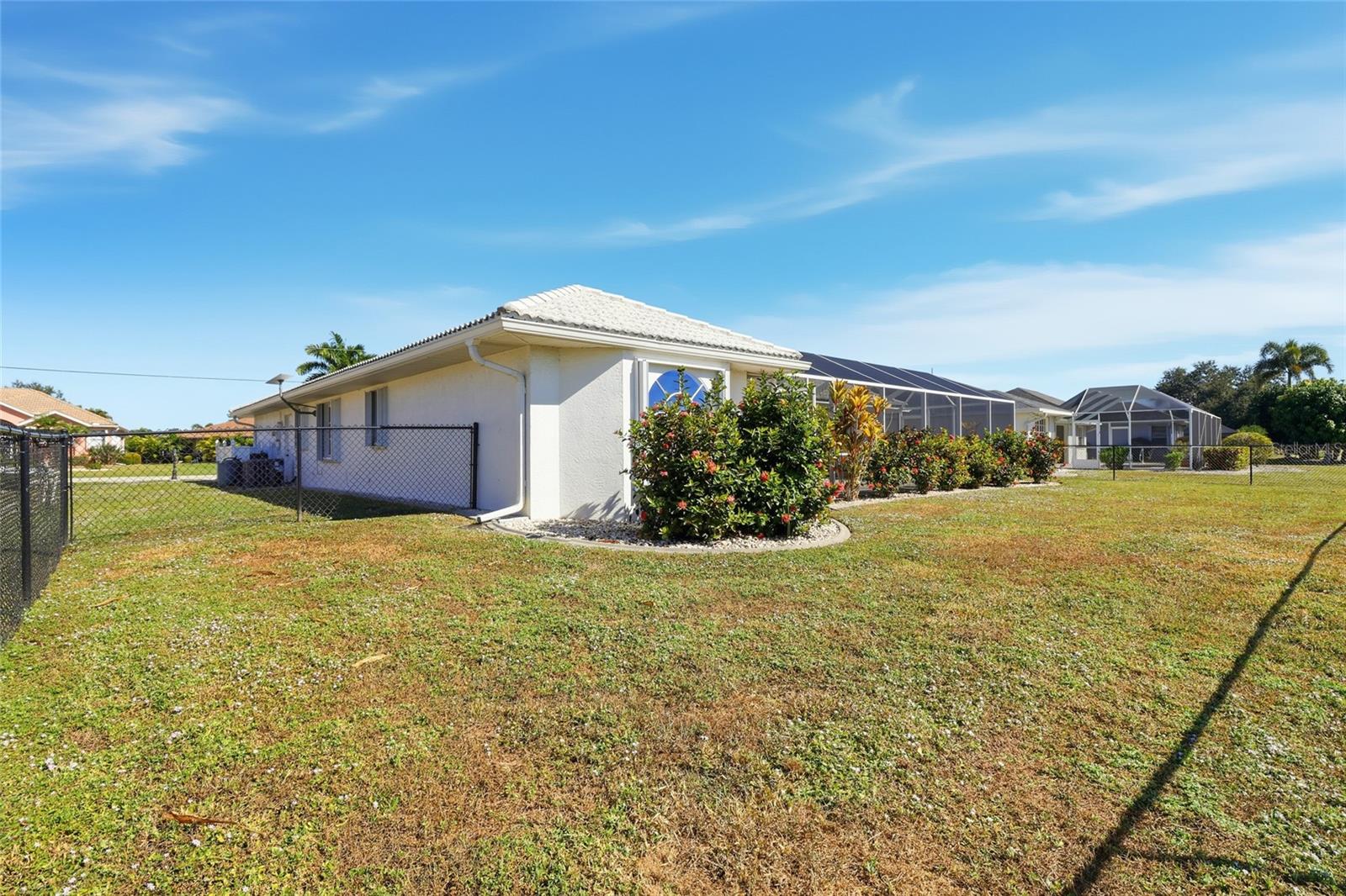 Image 24 of 28 For 7417 Sweet Alyssum