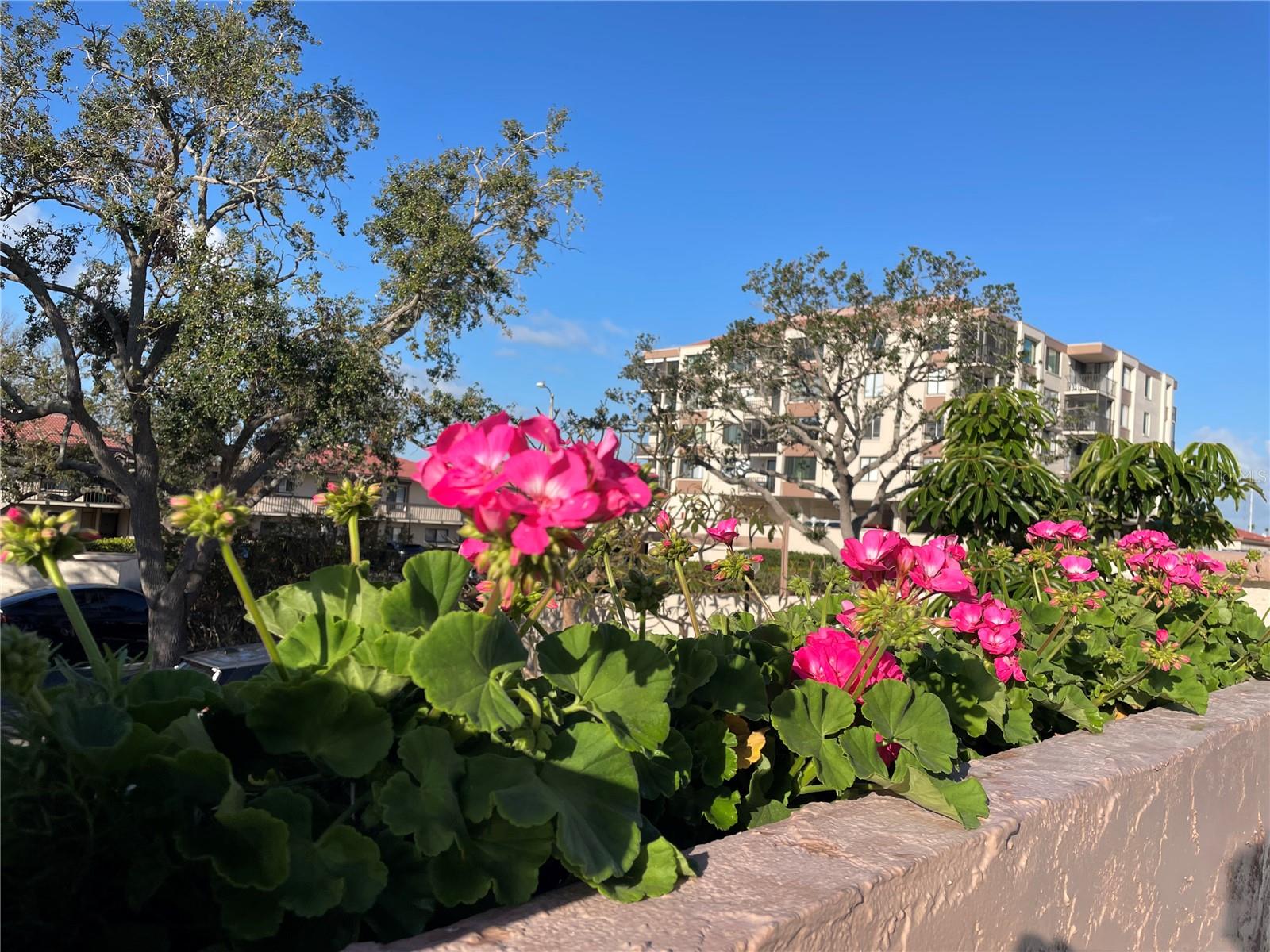 Image 27 of 28 For 6269 Palma Del Mar Boulevard S 308