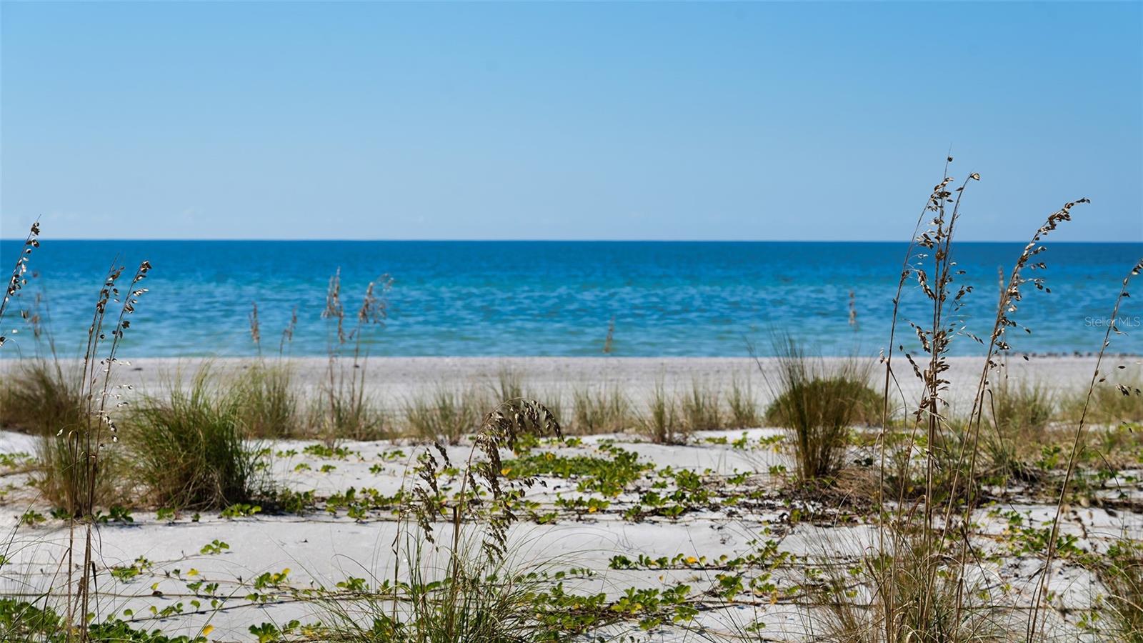 Image 50 of 55 For 2089 Gulf Of Mexico Drive G1-105