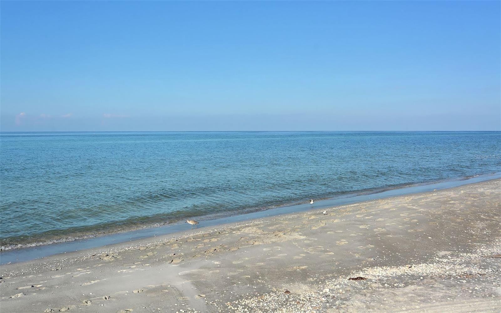 Image 54 of 55 For 2089 Gulf Of Mexico Drive G1-105