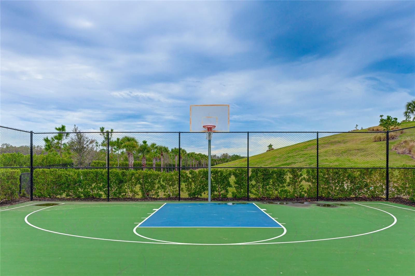 Image 51 of 60 For 6298 Grandview Hill Court