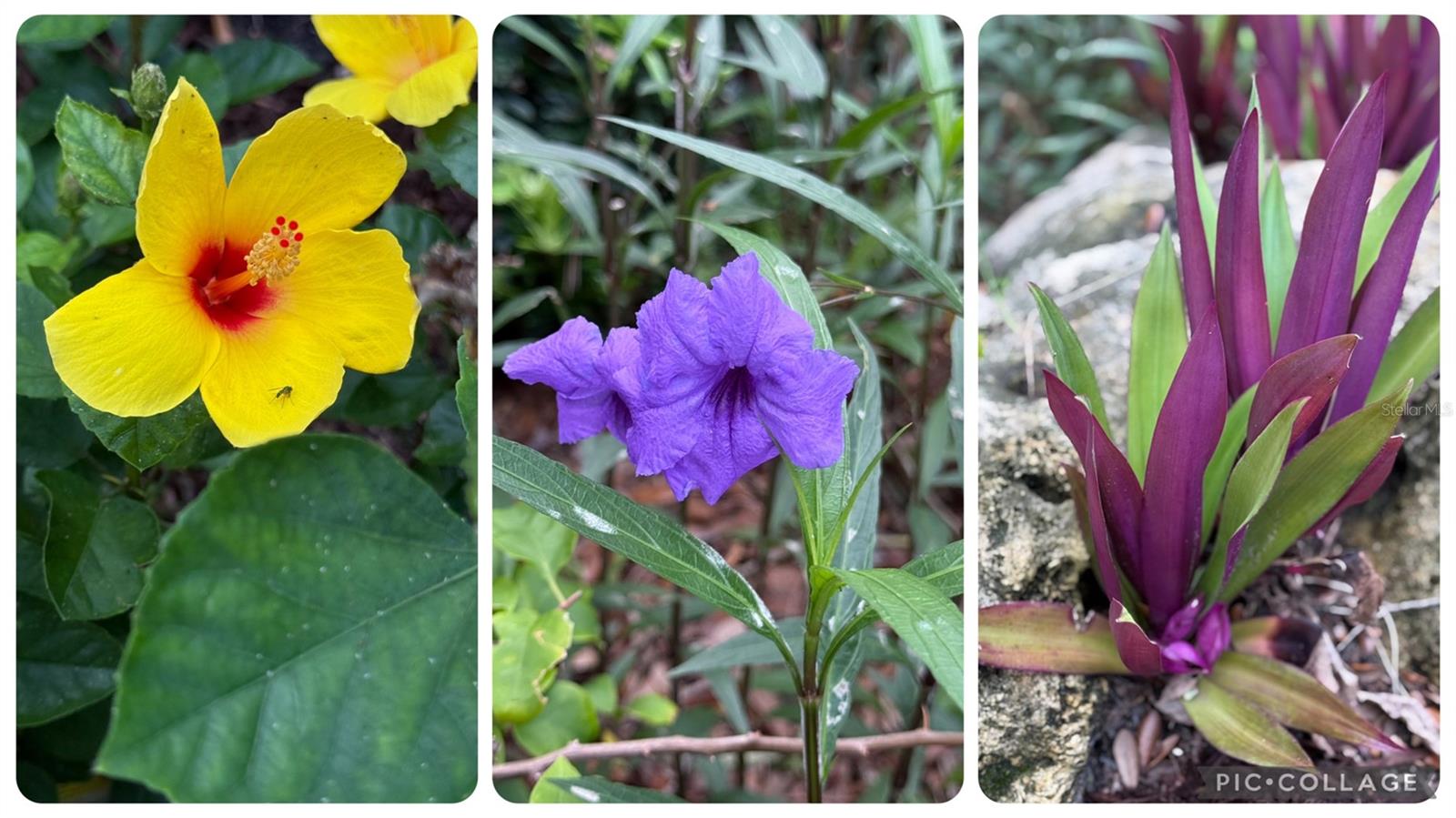 Image 77 of 100 For 156 Bishopscourt Road