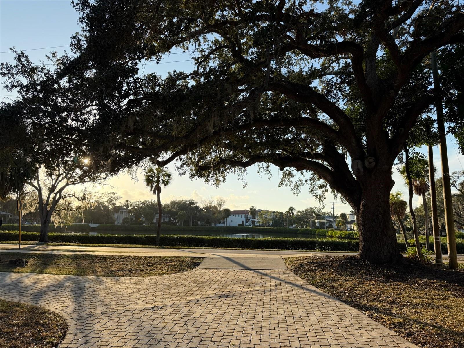 Image 9 of 24 For 2604 West Shore Boulevard