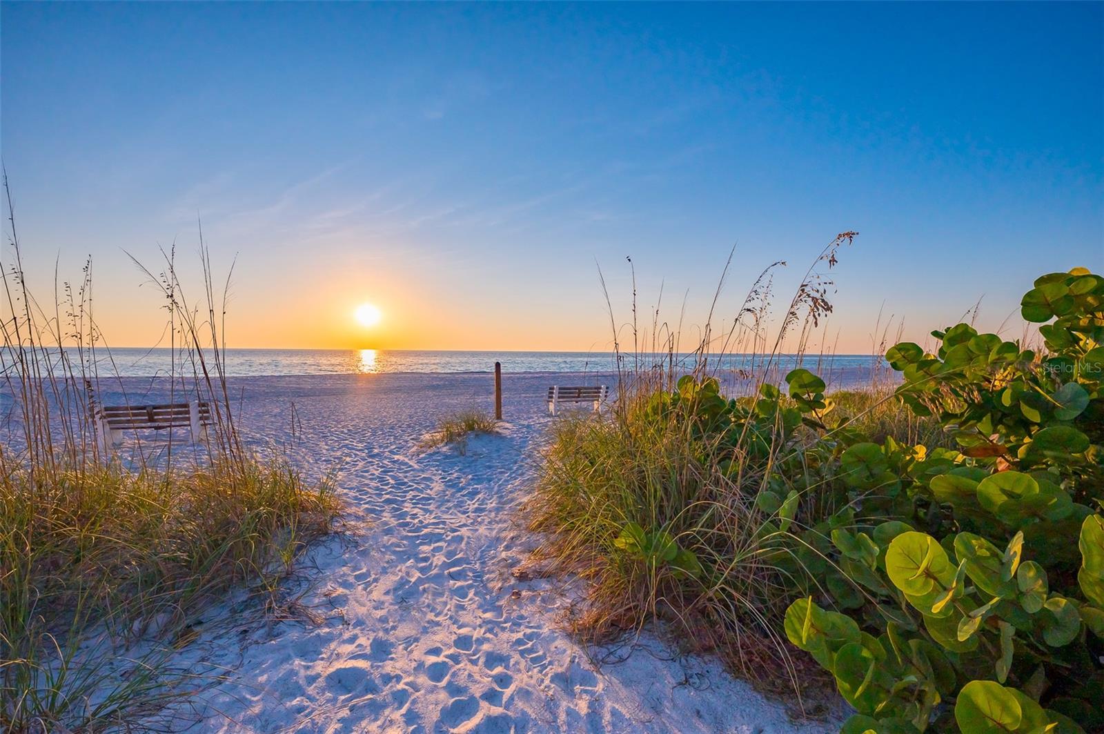 Image 99 of 99 For 526 56th Street