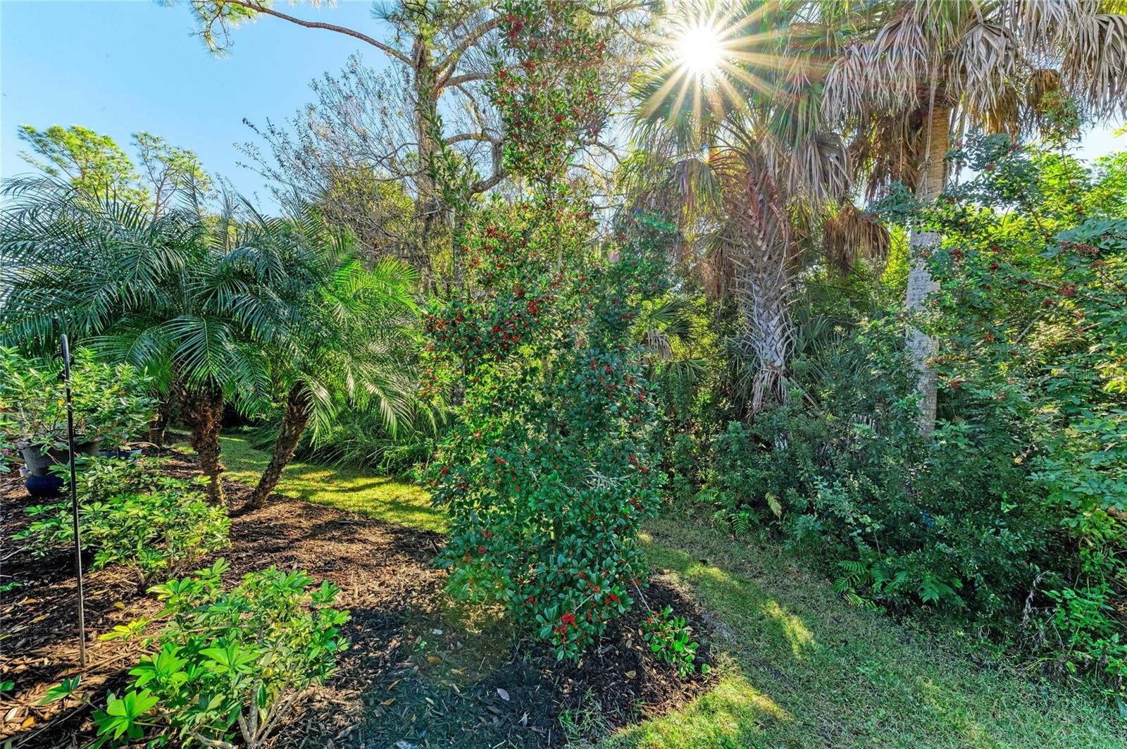 Image 36 of 91 For 364 Toscavilla Boulevard