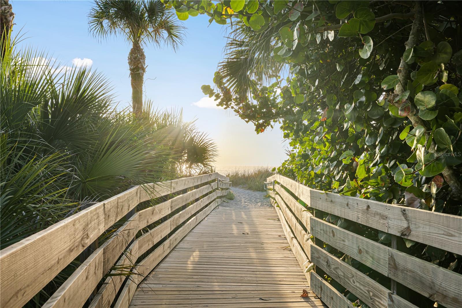 Image 51 of 62 For 804 Triano Circle 804