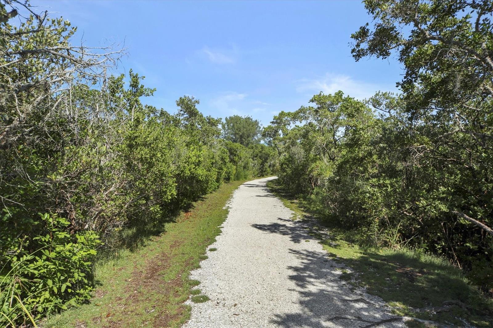 Image 53 of 65 For 1719 Starling Drive 1719