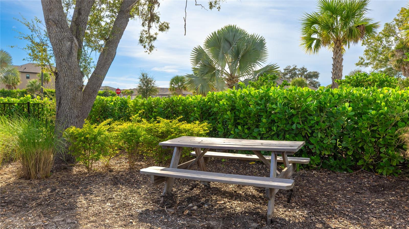 Image 43 of 49 For 15061 Shady Palms Lane