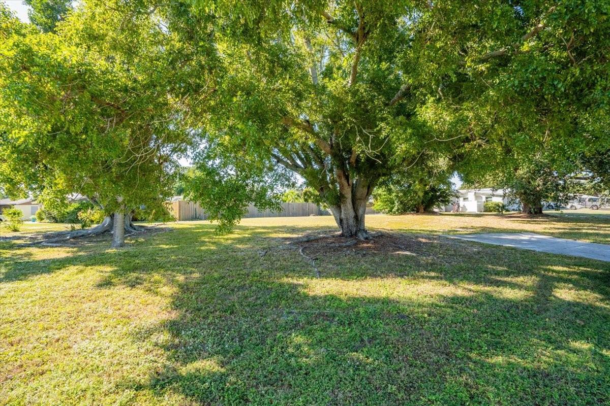 Image 7 of 22 For Southwood Street