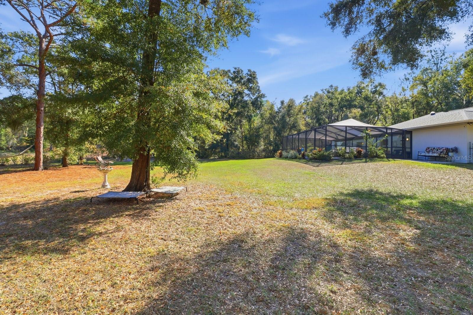 Listing photo id 38 for 3727 Boxelder Way