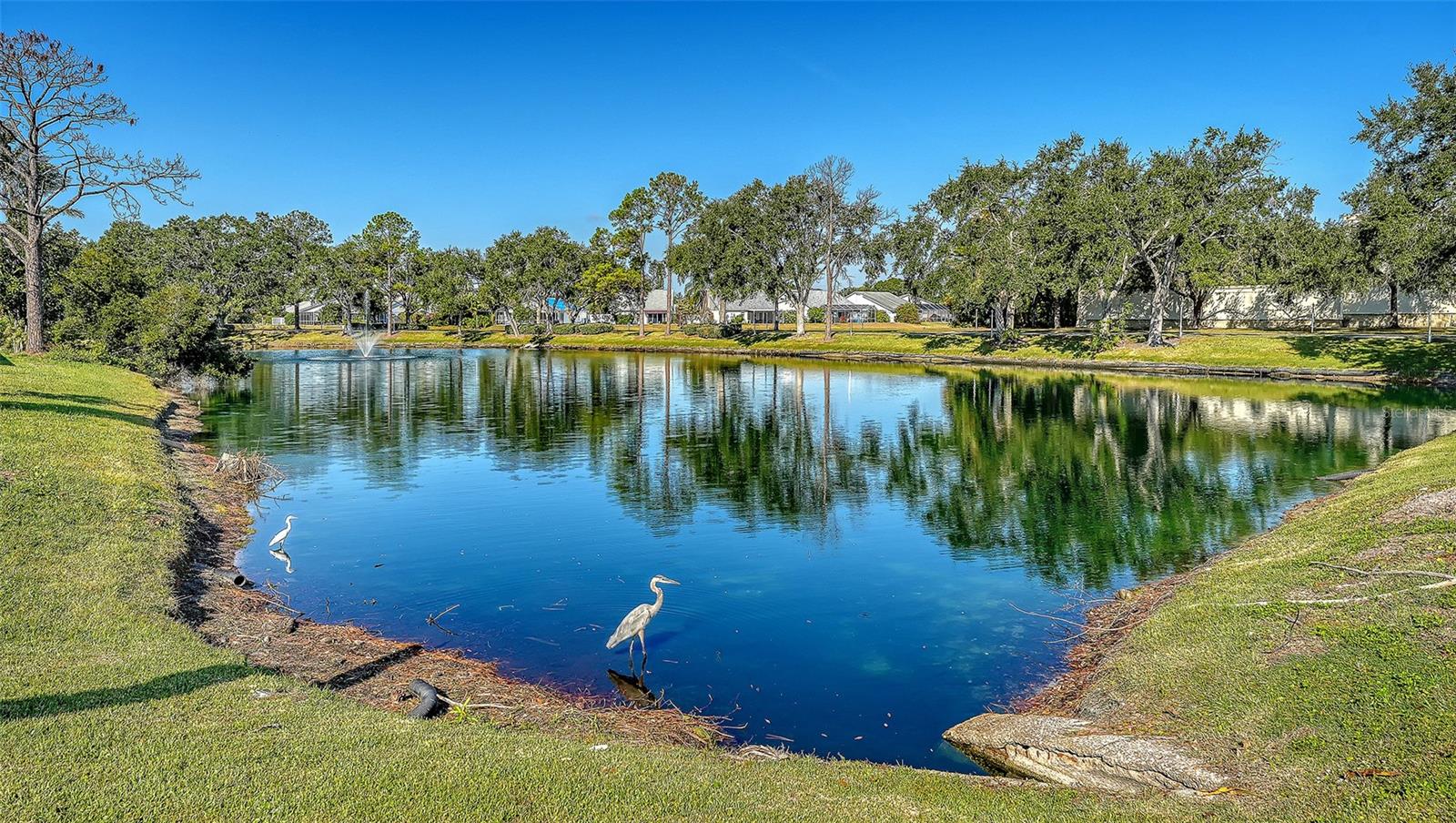 Image 36 of 55 For 7833 Ontario Street Circle