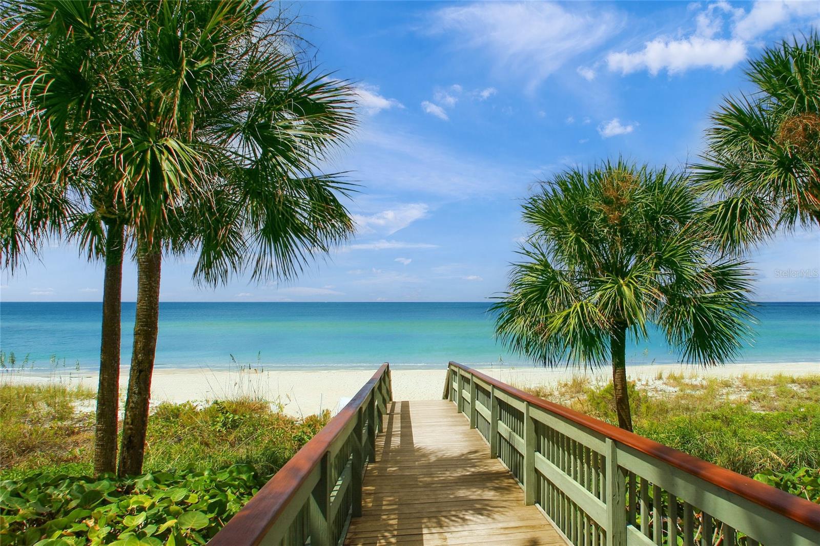 Image 44 of 66 For 1800 Benjamin Franklin Drive A1003