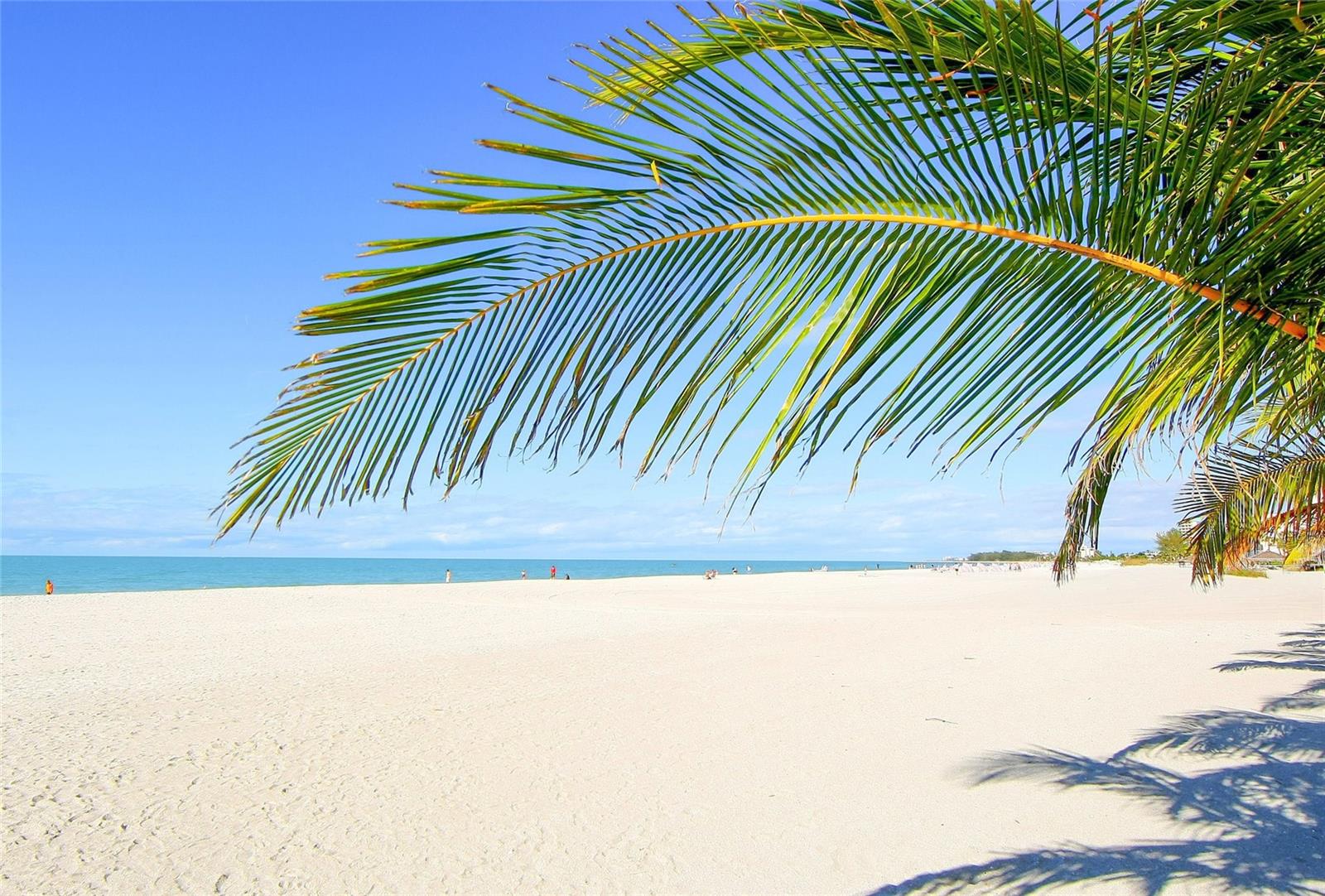 Image 45 of 66 For 1800 Benjamin Franklin Drive A1003