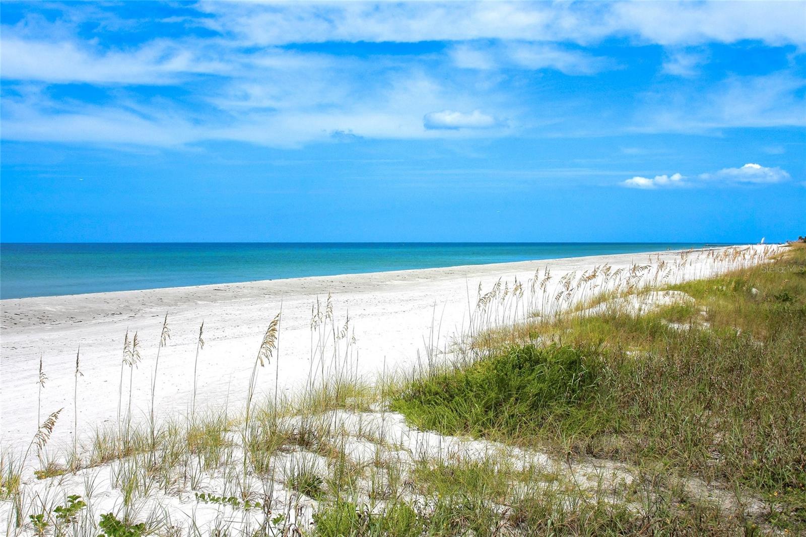 Image 55 of 66 For 1800 Benjamin Franklin Drive A1003