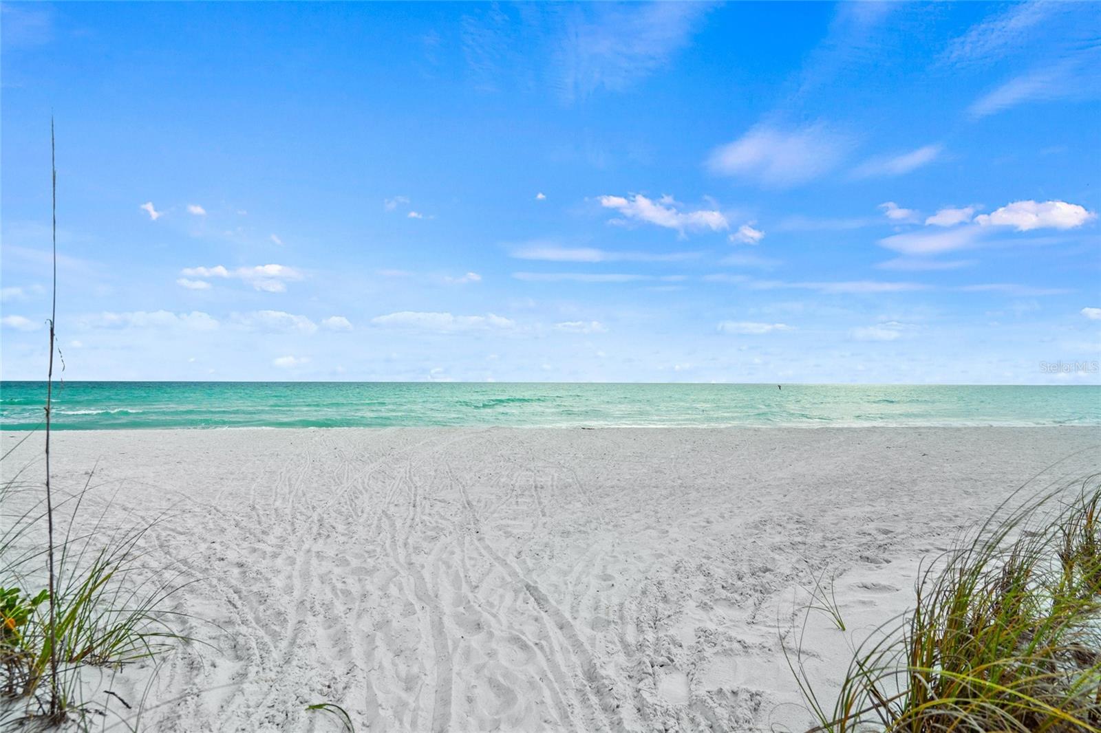 Image 57 of 66 For 1800 Benjamin Franklin Drive A1003