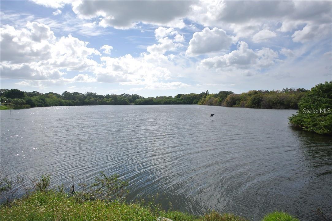 Image 40 of 42 For 1674 University Pkwy Lot 159