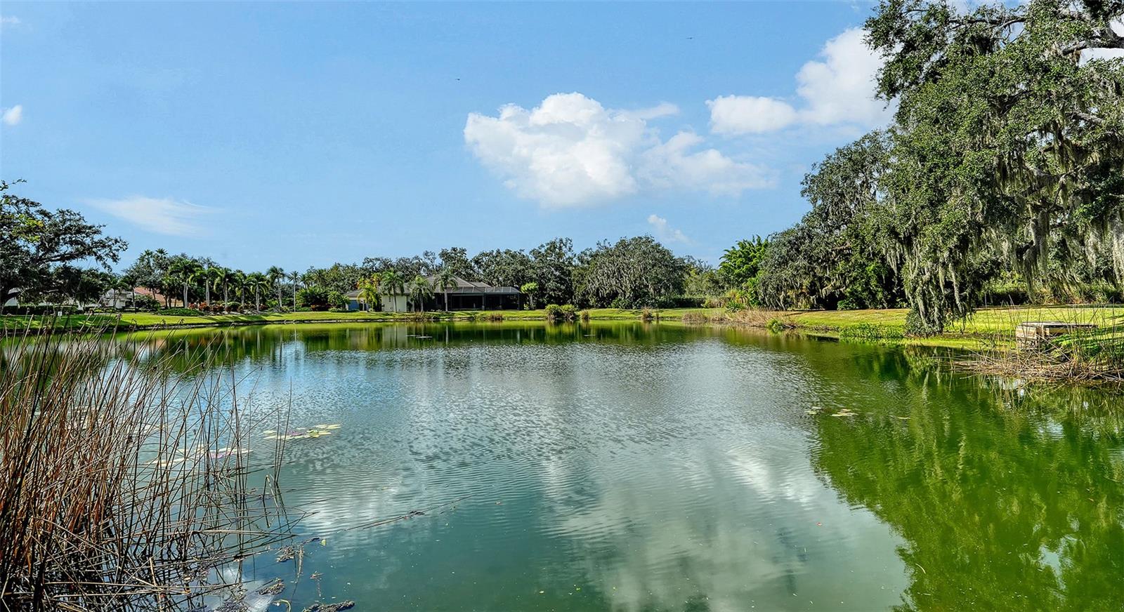 Image 36 of 40 For 1994 Tom Morris Drive