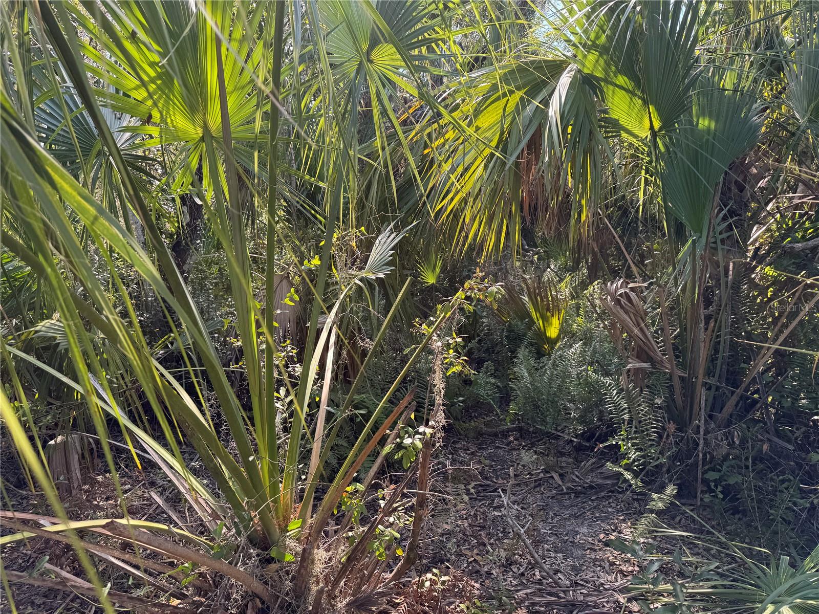 Image 6 of 20 For Upper Manatee River Road