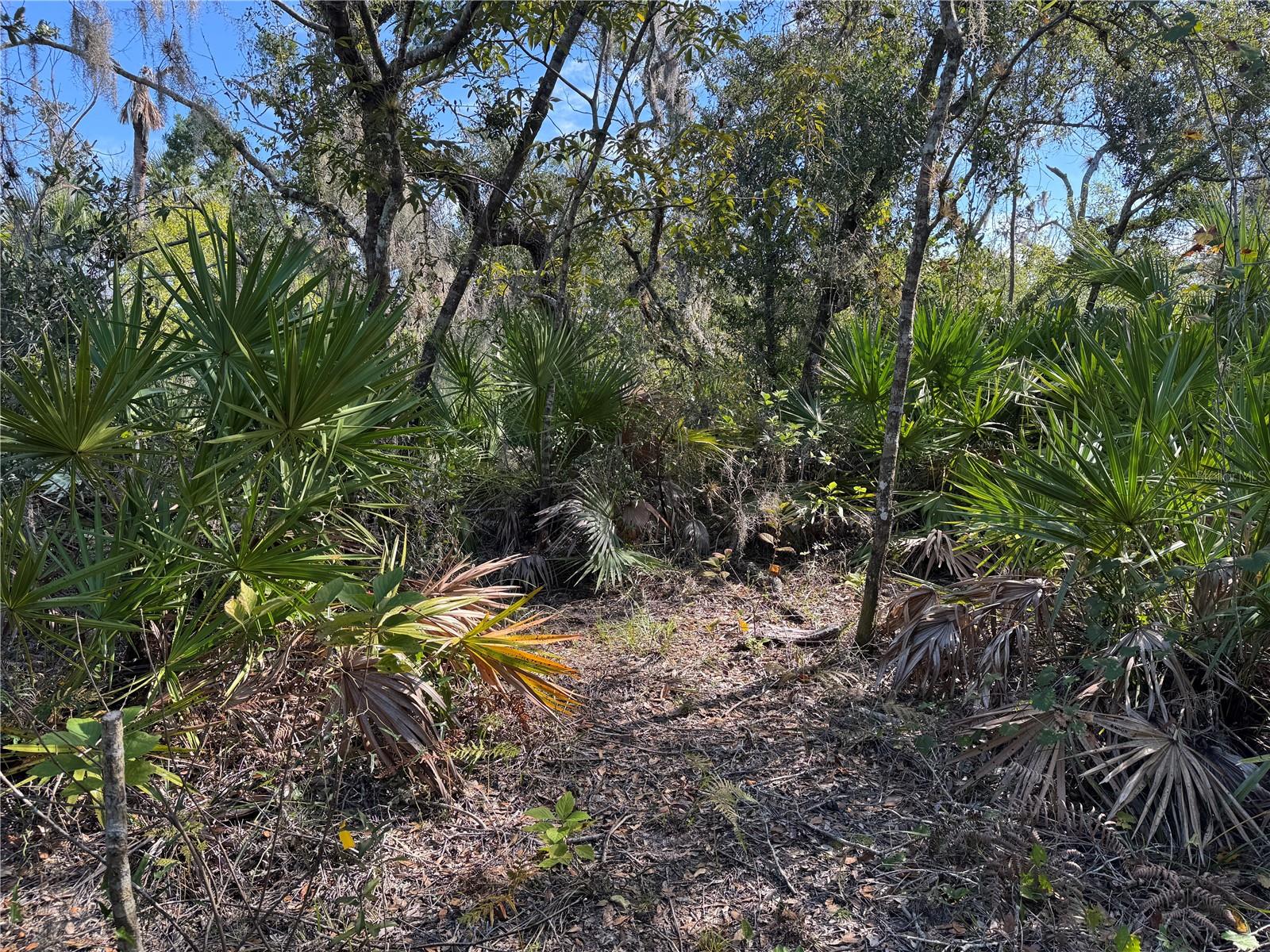 Image 7 of 20 For Upper Manatee River Road