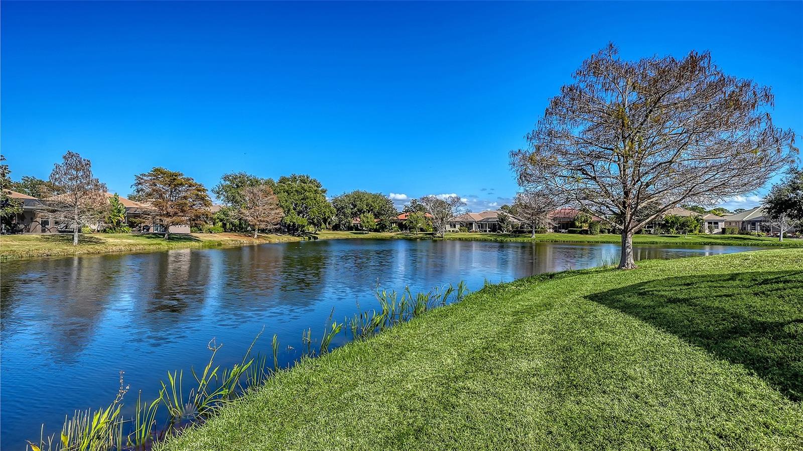 Image 47 of 58 For 529 Habitat Boulevard