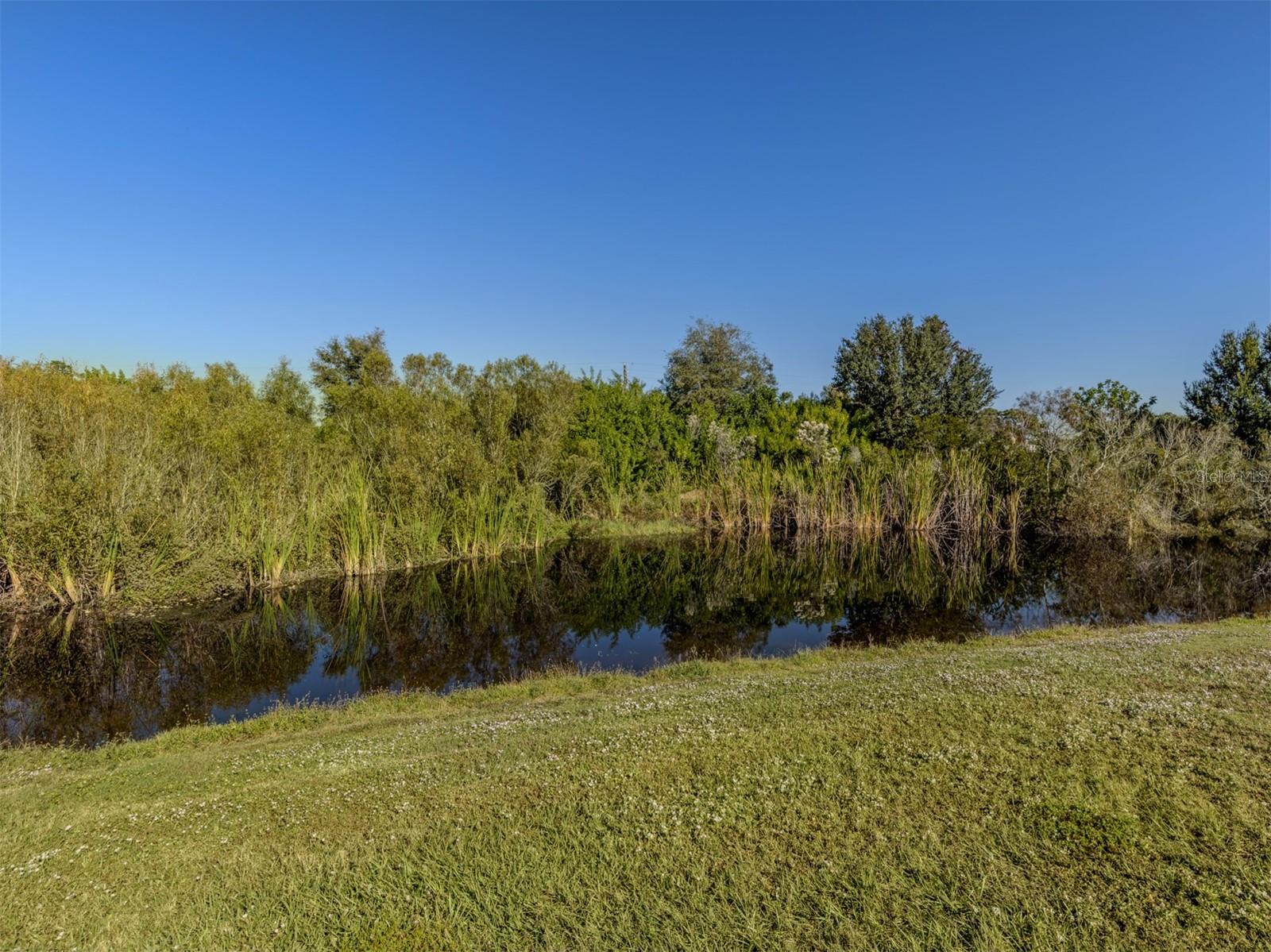 Image 5 of 44 For 4269 Lenox Boulevard